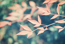 战术革新与青训脉络：欧洲顶级教头畅谈足球未来蓝图