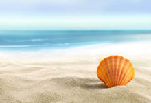 热血擂台，信念之光，铸就传奇！