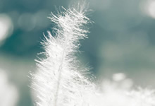 扣篮风采，点亮球场上的热情