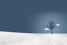 热血擂台，信念之光，铸就传奇！