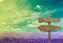 扣篮风采，点亮球场上的热情