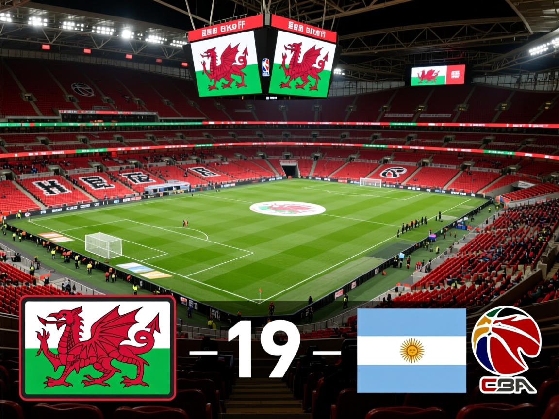 威尔士主场不敌阿根廷,遭遇失利 第1张