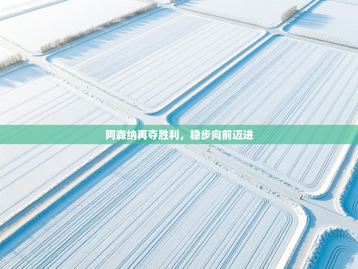 阿森纳再夺胜利，稳步向前迈进  第1张