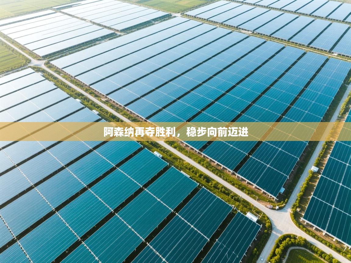 阿森纳再夺胜利，稳步向前迈进  第2张